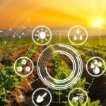 Comment la technologie transforme l&rsquo;agriculture et améliore la production