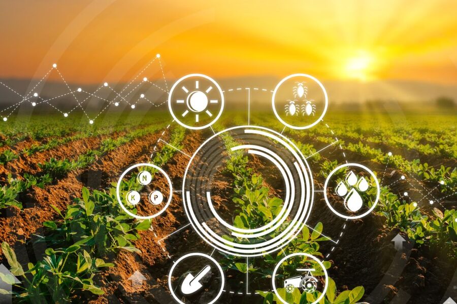 Comment la technologie transforme l&rsquo;agriculture et améliore la production