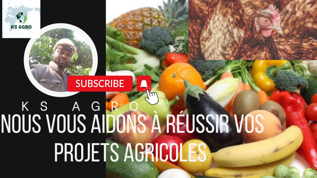 Png 20230317 093455 0000 (1)