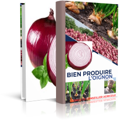 77e7872d67a30463e93a7ee9b81ae377