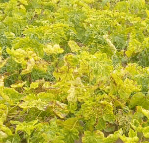 Img 20240409 Wa0008 (2)