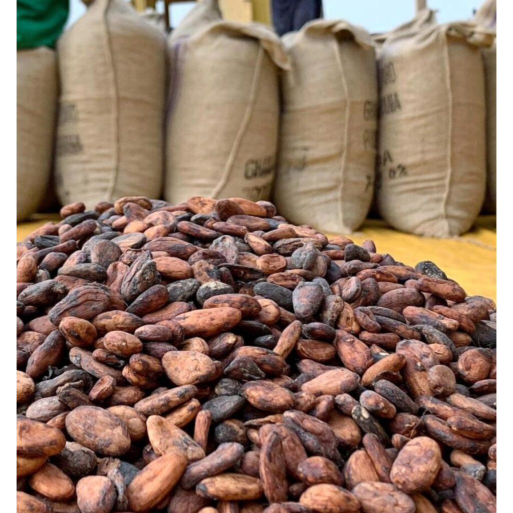 Inshot 20240330 234729147