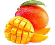 Mangue